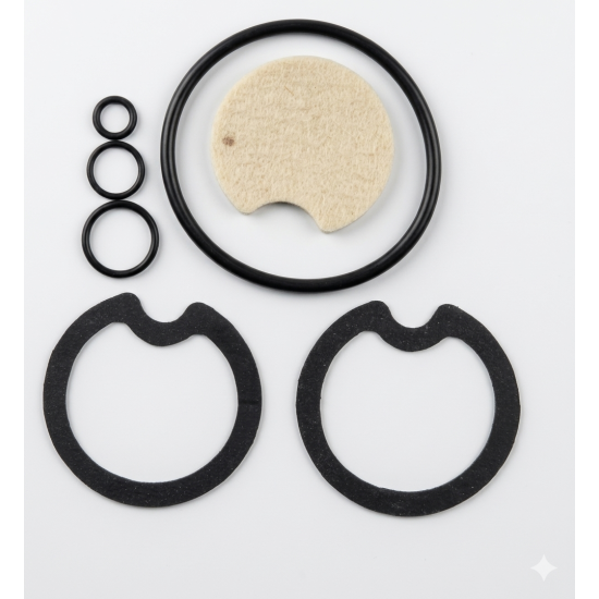 Reparo Filtro Aisan Generico